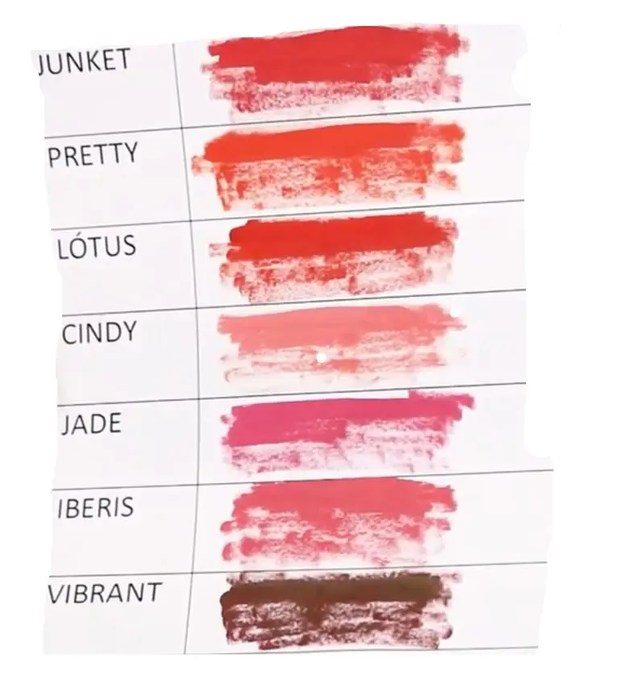 Nuance Kit Pigments Organic Tattoo Ink 5ml for blush lips and Lips Tattoo