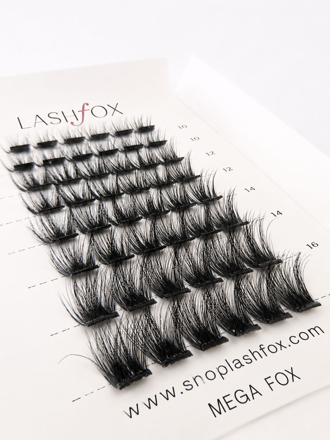 LashFox MEGA Press-On Lashes Kit – No Glue Needed, DIY Lash Extensions, Wispy  Lashes, Reusable Natural Look, 5–12 Day Wear (Copy) (Copy) (Copy) (Copy)